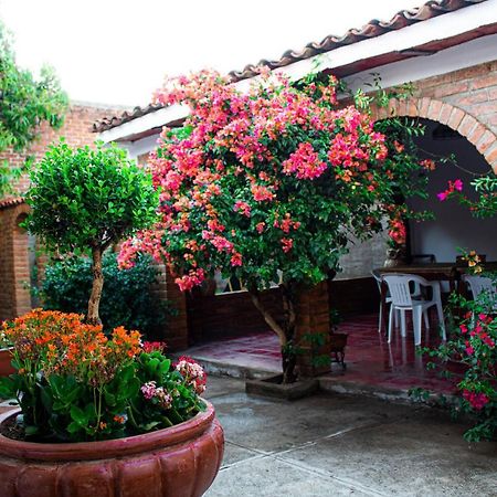 Villa Flores, Casa En El Centro De Mascota Exterior foto